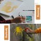 Halloween Stencils for Painting on Wood Walls Crafts Canvas,(Painting)